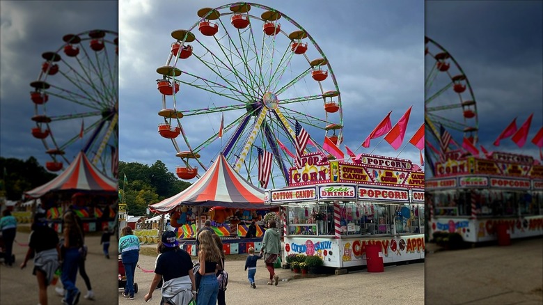 Allegan County Fair