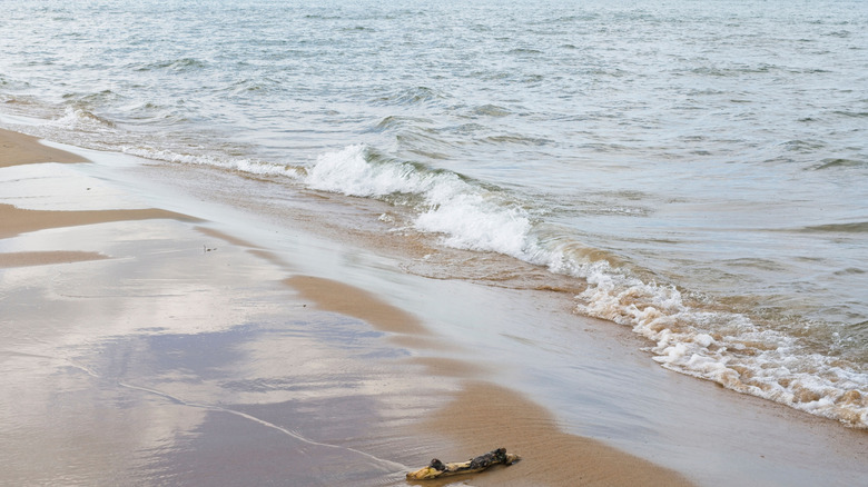 The sandy beach along Lake Huron in Tawas Point State Park in Michigan