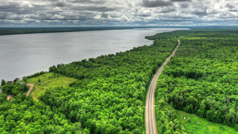 road running through forest beside large lake