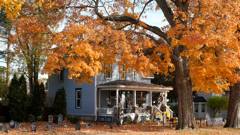 Victorian House decorated for Halloween, shaded by fall foliage