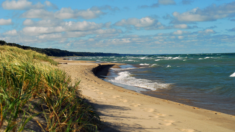 beach in Warren Dunes State Park