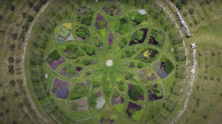 An aerial view of the lavender labyrinth at Cherry Point Farm in Shelby, MI