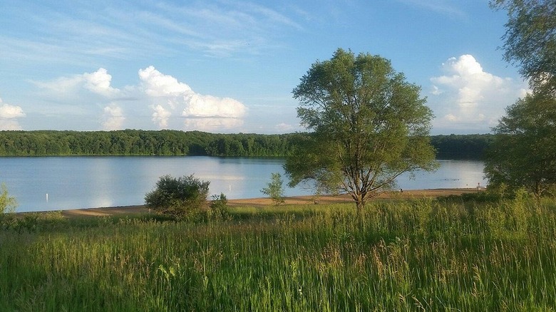 A shot of Eagle Lake and its green surroundings at Fort Custer Recreation Area, Michigan