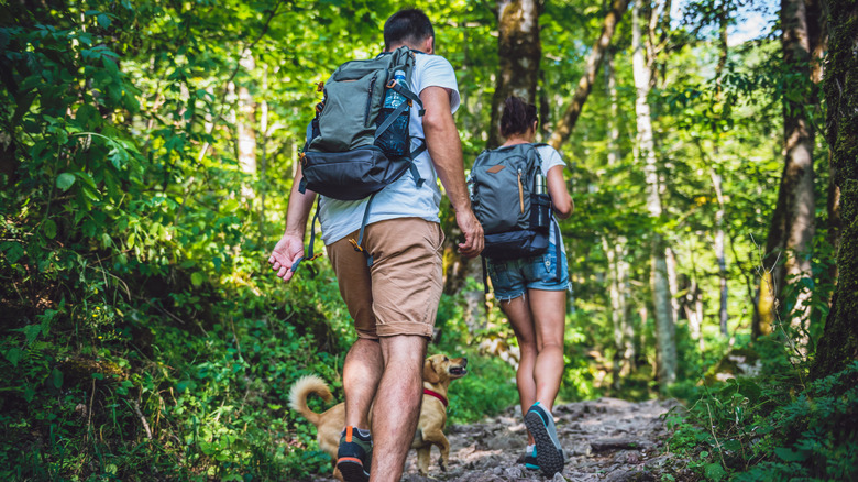 A couple hikes with their dog in the woods