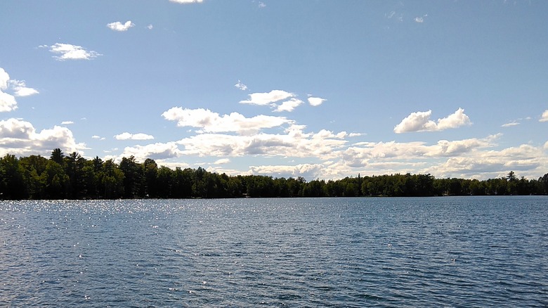 The calm blue water of Bass Lake in the summer with trees on the far shore