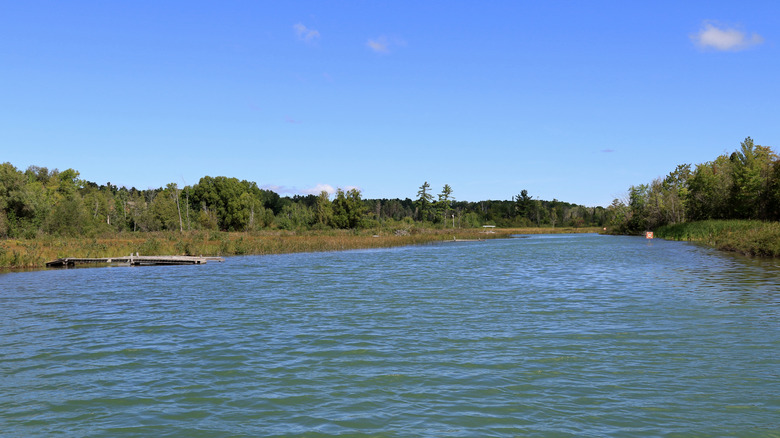 Crooker River in Northern Michigan