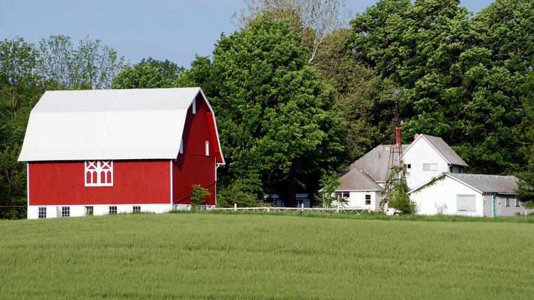 Old farmhouse and barn near Eaton Rapids, Michigan