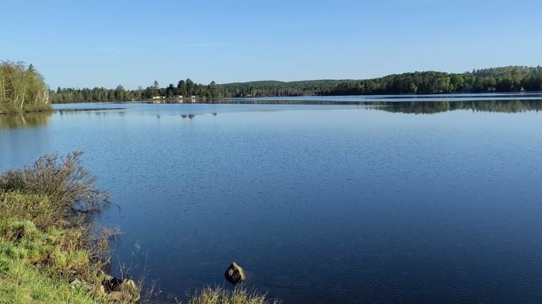 A view of Lake Michigamme in the Upper Peninsula
