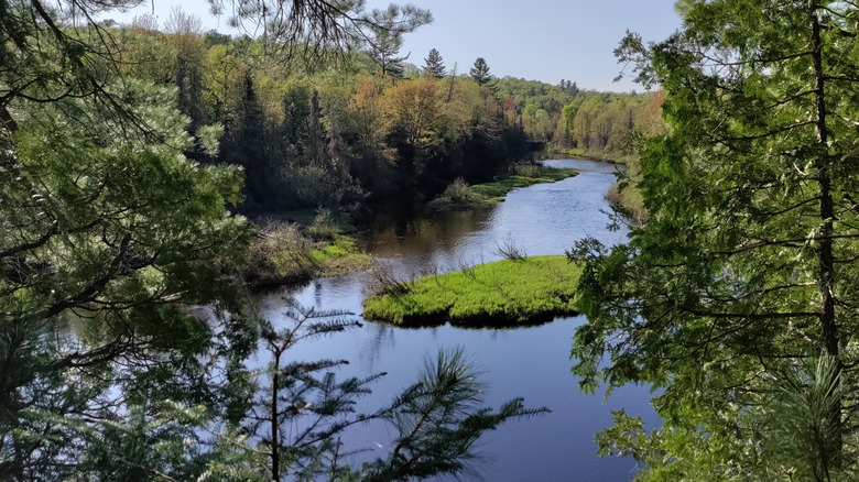 A scenic view at Van Riper State Park, Michigan