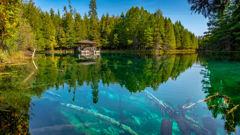 The clear waters of Kitch-iti-kipi