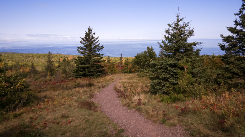 A path overlooking Lake Superior in Upper Michigan.