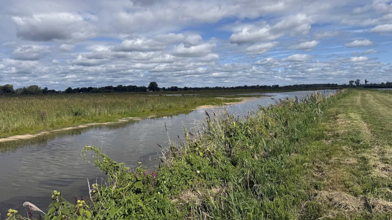 A grassy walking trail at Erie Marsh Preserve.
