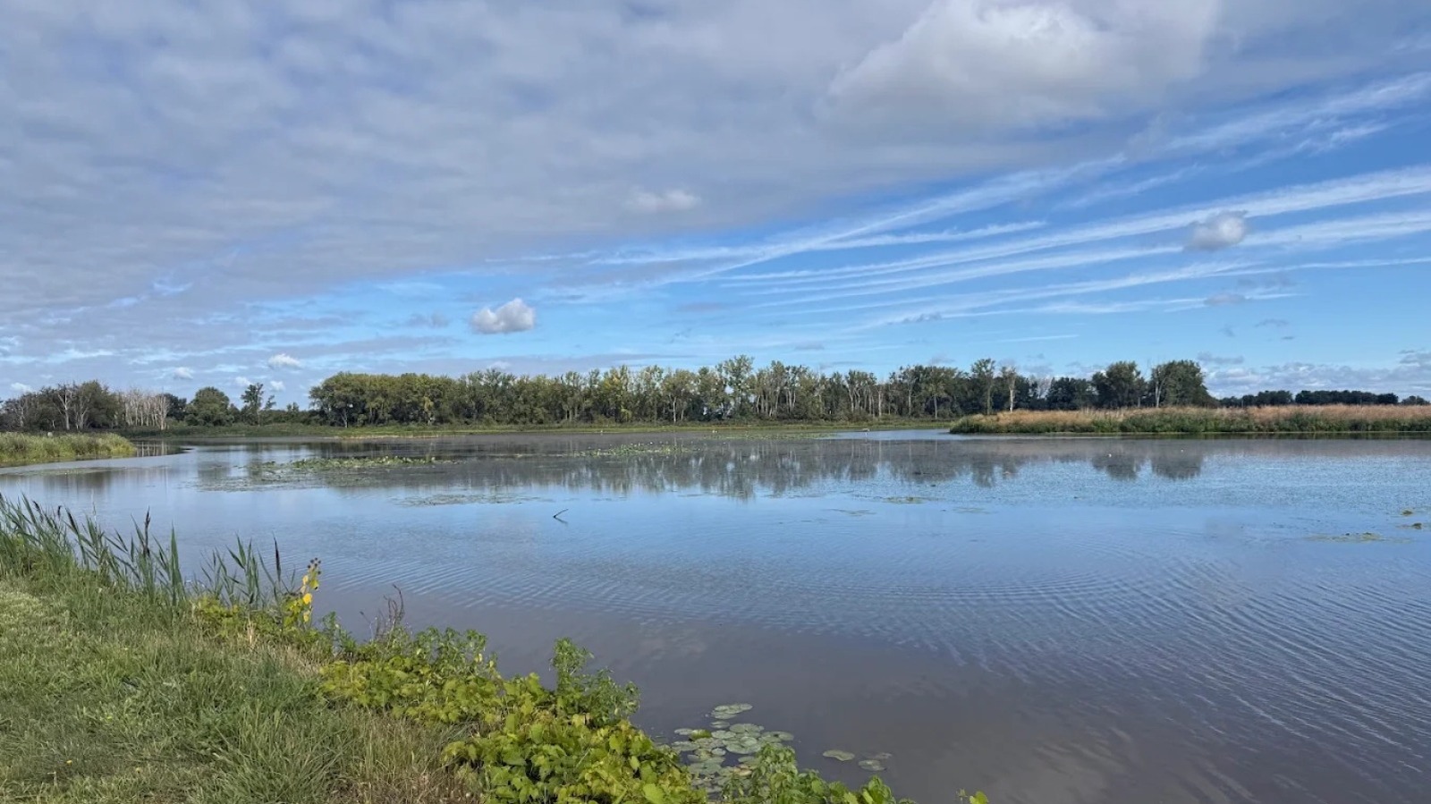 Michigan's Massive Wetland Preserve Near The Ohio Border Is A Lake Erie Gem With Unique Wildlife And Serene Trails