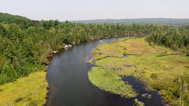 Aerial view of Intermediate River connecting lakes through the wooded area outside of Bellaire