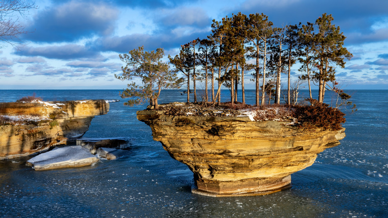 Tree-covered geological formation known as Turnip Rock rising out of the waters of Lake Huron