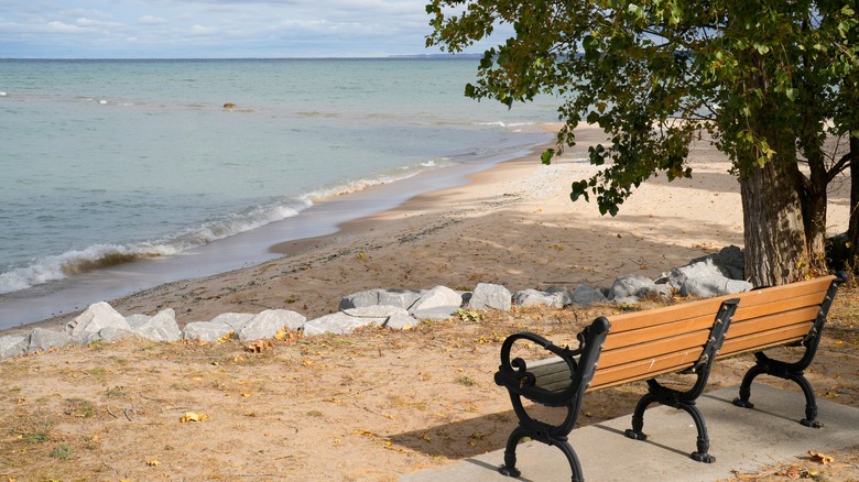 A bench overlooking the beach and waters of Elk Lake in Michigan