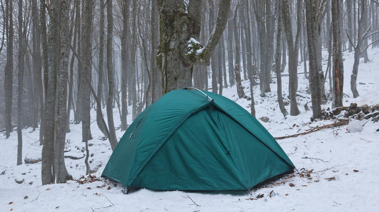Backcountry camping in a wintry Michigan landscape