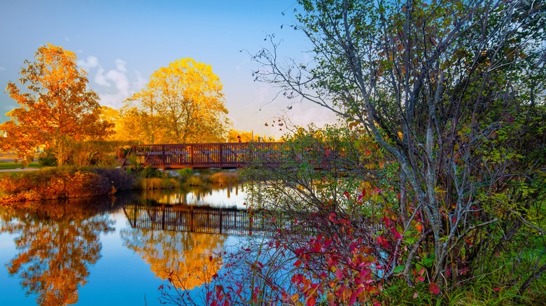 Pedestrian bridge spanning the Au Sable River in Grayling, Michigan