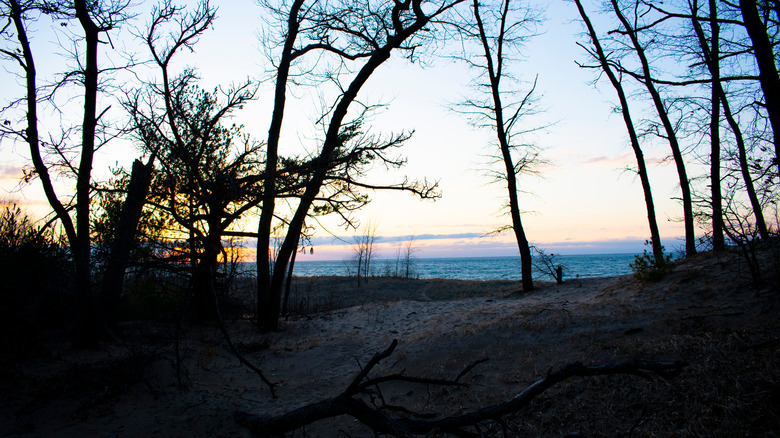 Port Crescent State Park, MIchigan