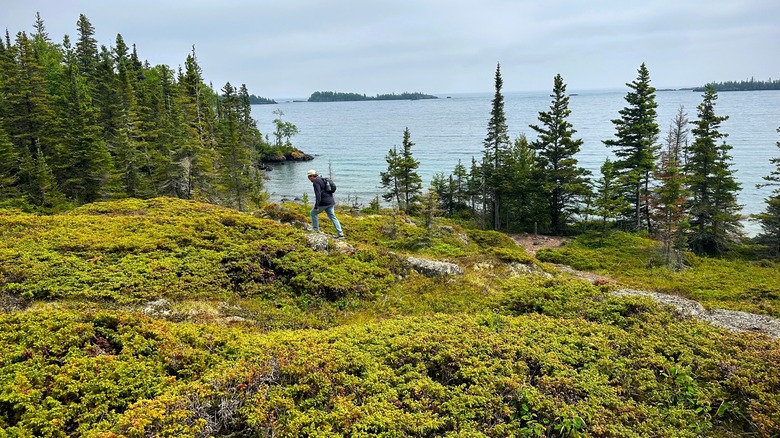 Isle Royale National Park hike
