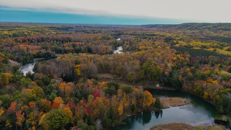 Manistee River Trail from above