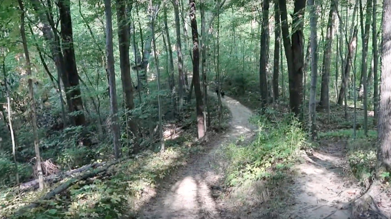 Penosha Trail in Michigan