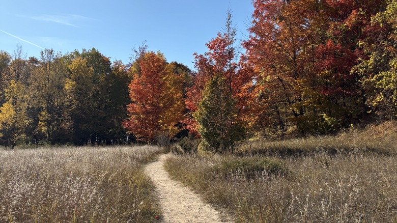 A hiking trail with autumn foliage in Sleeping Bear Dunes, Michigan