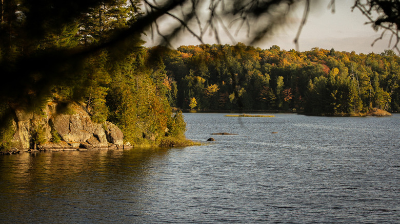 A view of a large lake surrounded by trees at Craig Lake State Park