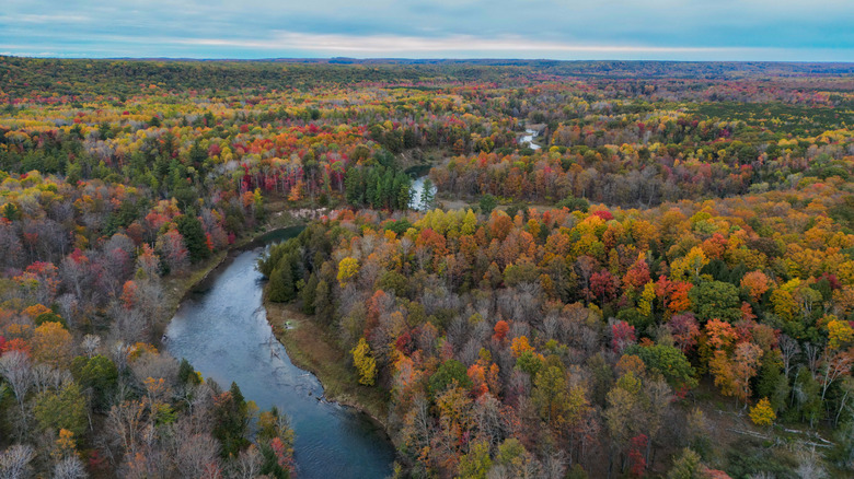 An aerial photo of Mesick shows the Manistee River winding through trees starting to change to fall colors