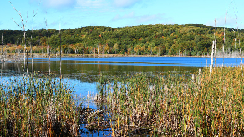 A view of Narada Lake along the Port Oneida Trailhead in Port Oneida