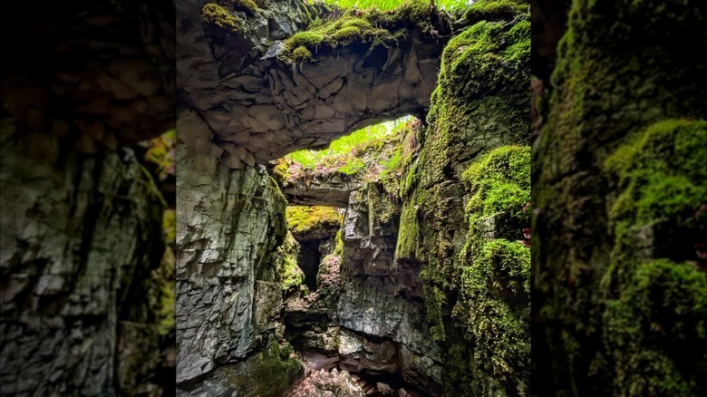 The Hendrie River Water Cave at the Fiborn Karst Preserve, Michigan, with moss covering the limestone formations