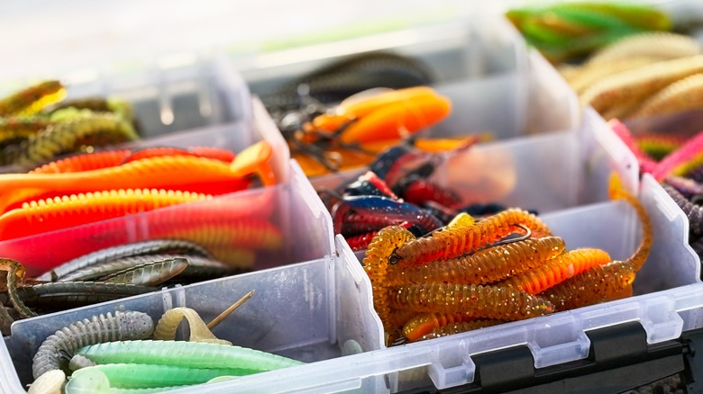 Tackle box with lures and fishing gear