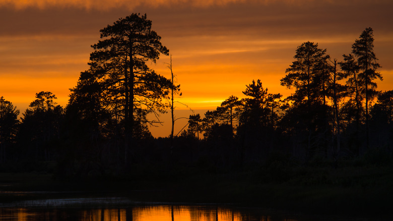 Sunset in the Seney National Wildlife Refuge, near Germfask, Michigan