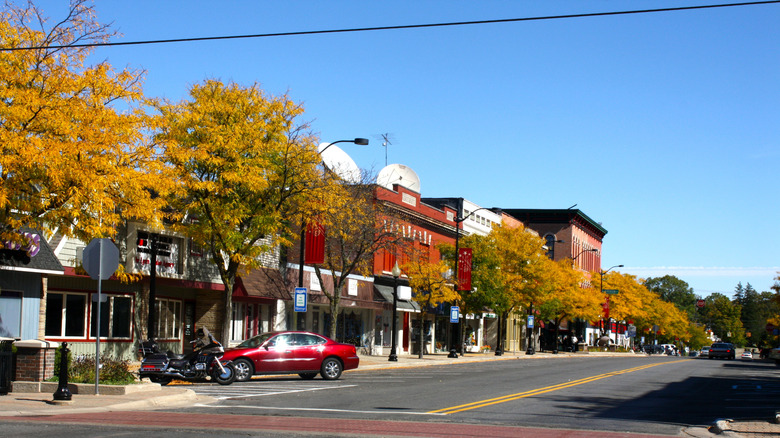 A view of downtown Hastings, Michigan, with quaint storefronts and autumn trees