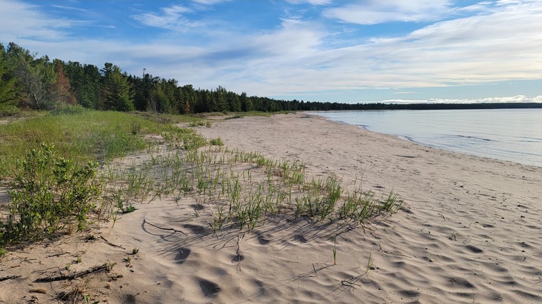 The long sandy Lake Huron beach at DeTour State Forest Campground