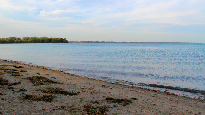 Sandy Lake St. Clair shores on Canada side