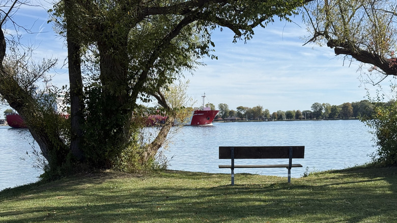 A view of the freighters from the Algonac State Park Riverfront campground