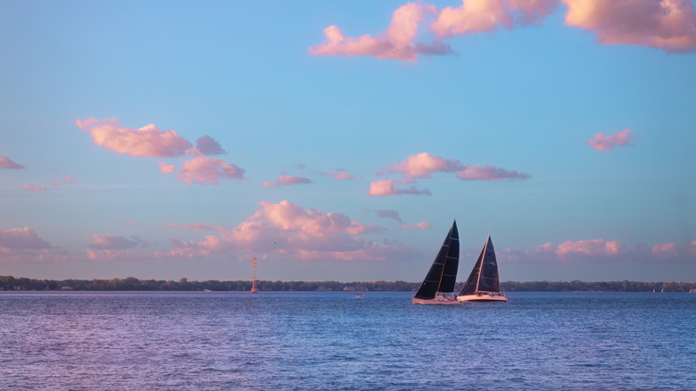 Two sailboats glide across the water at dusk in the St. Clair River, Michigan