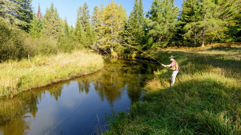 Man fishing for trout in Michigan stream