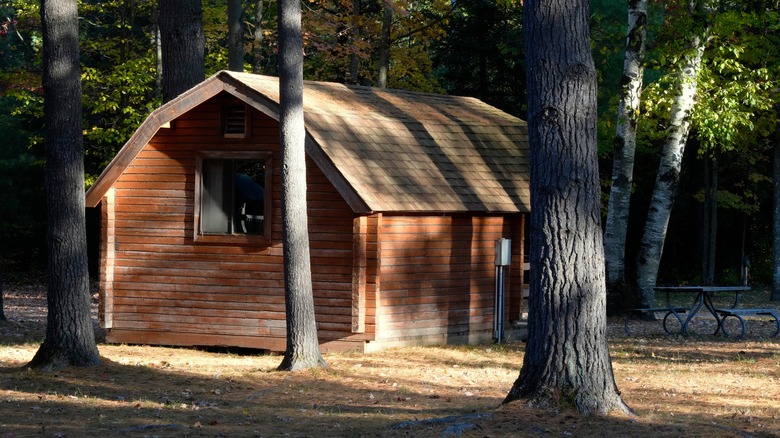Sunlit cabin in Northern Michigan