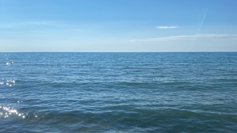View of the Lake Michigan from Grand Mere State Park