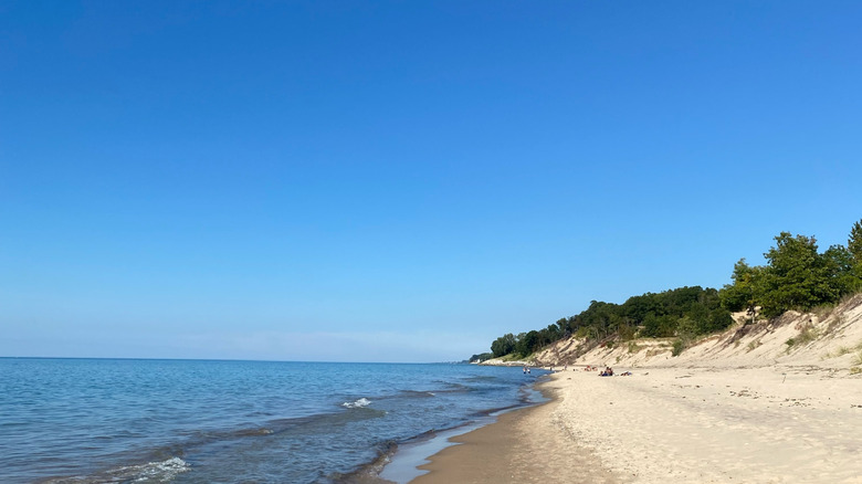 View of the beach at Grand Mere State Park