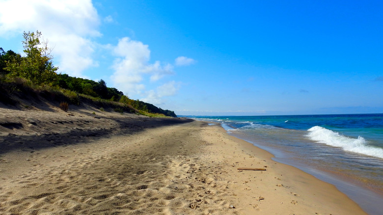 View of the beach and dunes at Grand Mere State Park