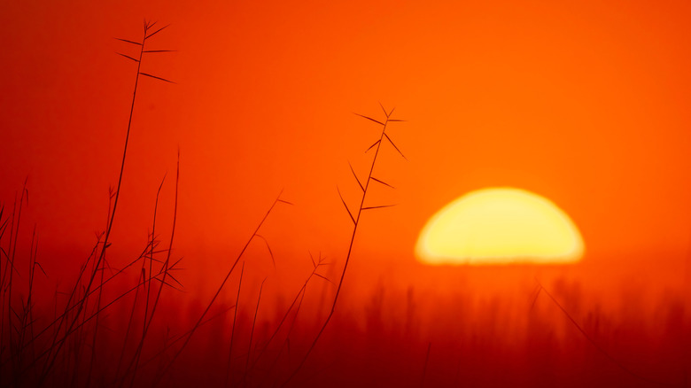 Bright orange sunrise over Saginaw Bay