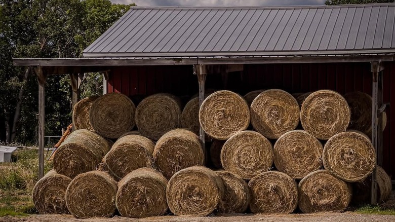 Hay bales stacked outside a barn