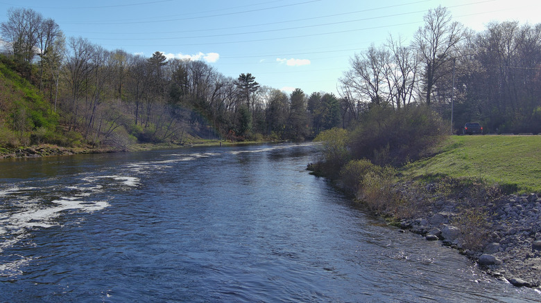 Muskegon River flowing through Newaygo, Michigan