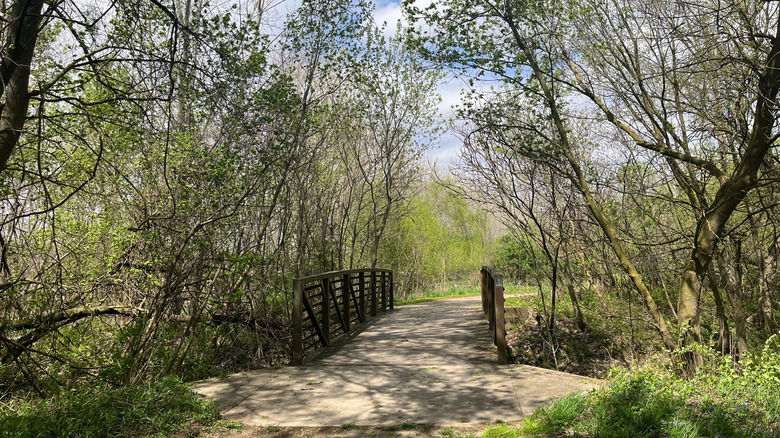 A path and bridge in Upper Macatawa Natural Area