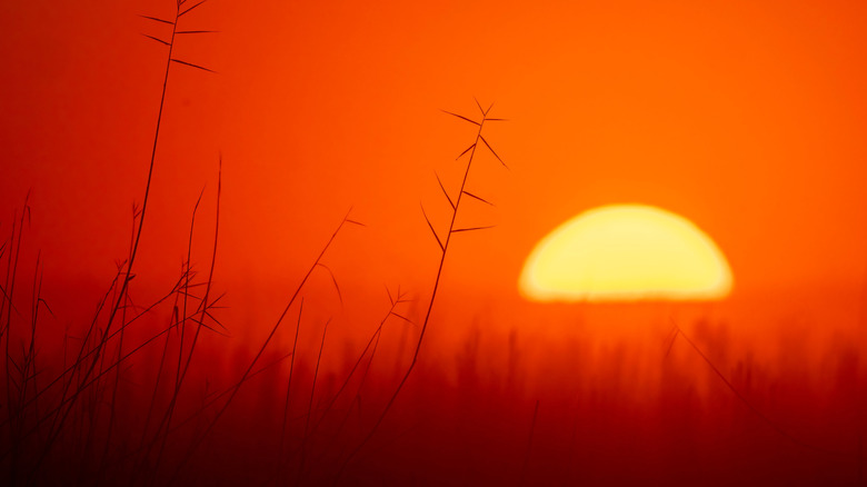 Sunrise over Sleeper State Park