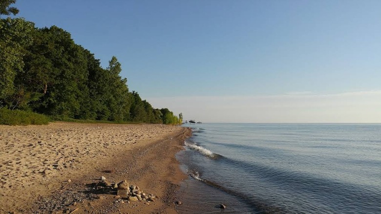 The long stone and sand beach at Lakeport with the forest behind and Lake Huron on the horizon