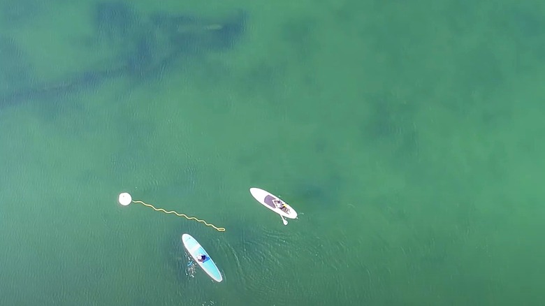 Paddle boarders by a wreck in Thunder Bay National Marine Sanctuary